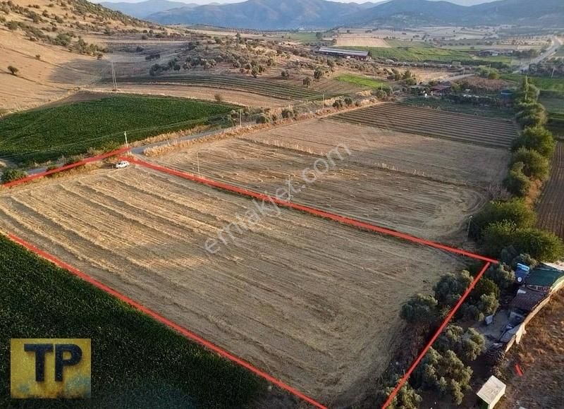 Tire Pınar Emlak Tan Süper Konumda Satılık Tarla - Görsel 10