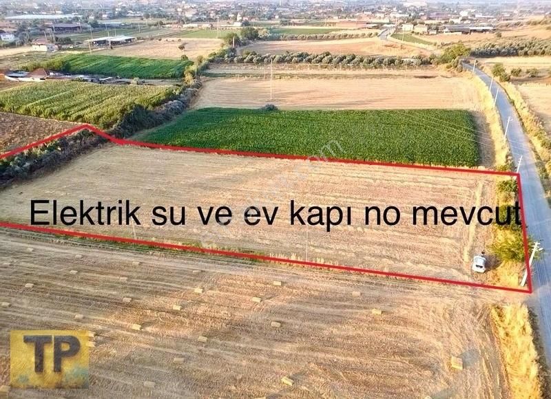 Tire Pınar Emlak Tan Süper Konumda Satılık Tarla - Görsel 3