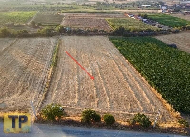 Tire Pınar Emlak Tan Süper Konumda Satılık Tarla - Görsel 6