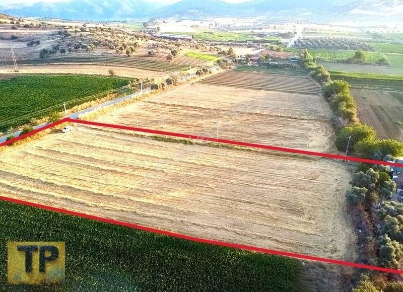 Tire Pınar Emlak Tan Süper Konumda Satılık Tarla - Görsel 5