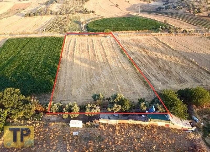 Tire Pınar Emlak Tan Süper Konumda Satılık Tarla - Görsel 7