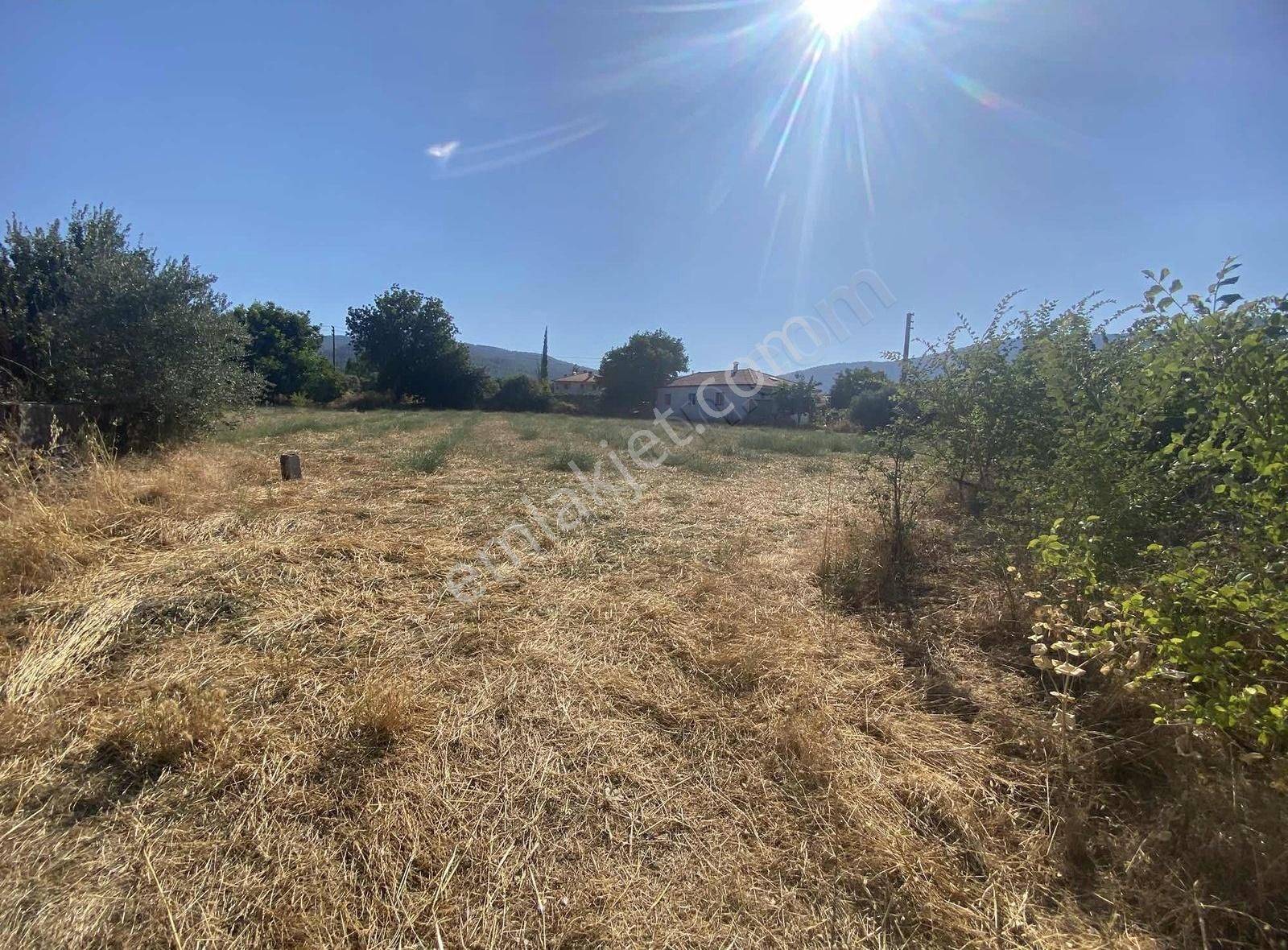 Muğla Yeşilyurtta %5 İmarlı Harika Parsel - Görsel 5