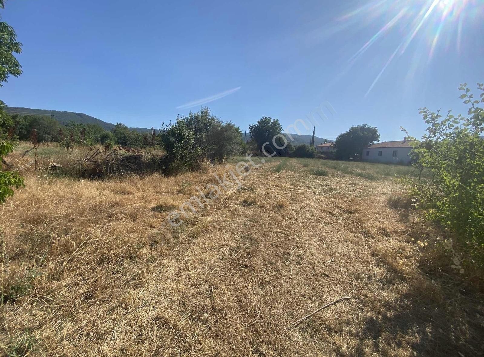 Muğla Yeşilyurtta %5 İmarlı Harika Parsel - Görsel 2