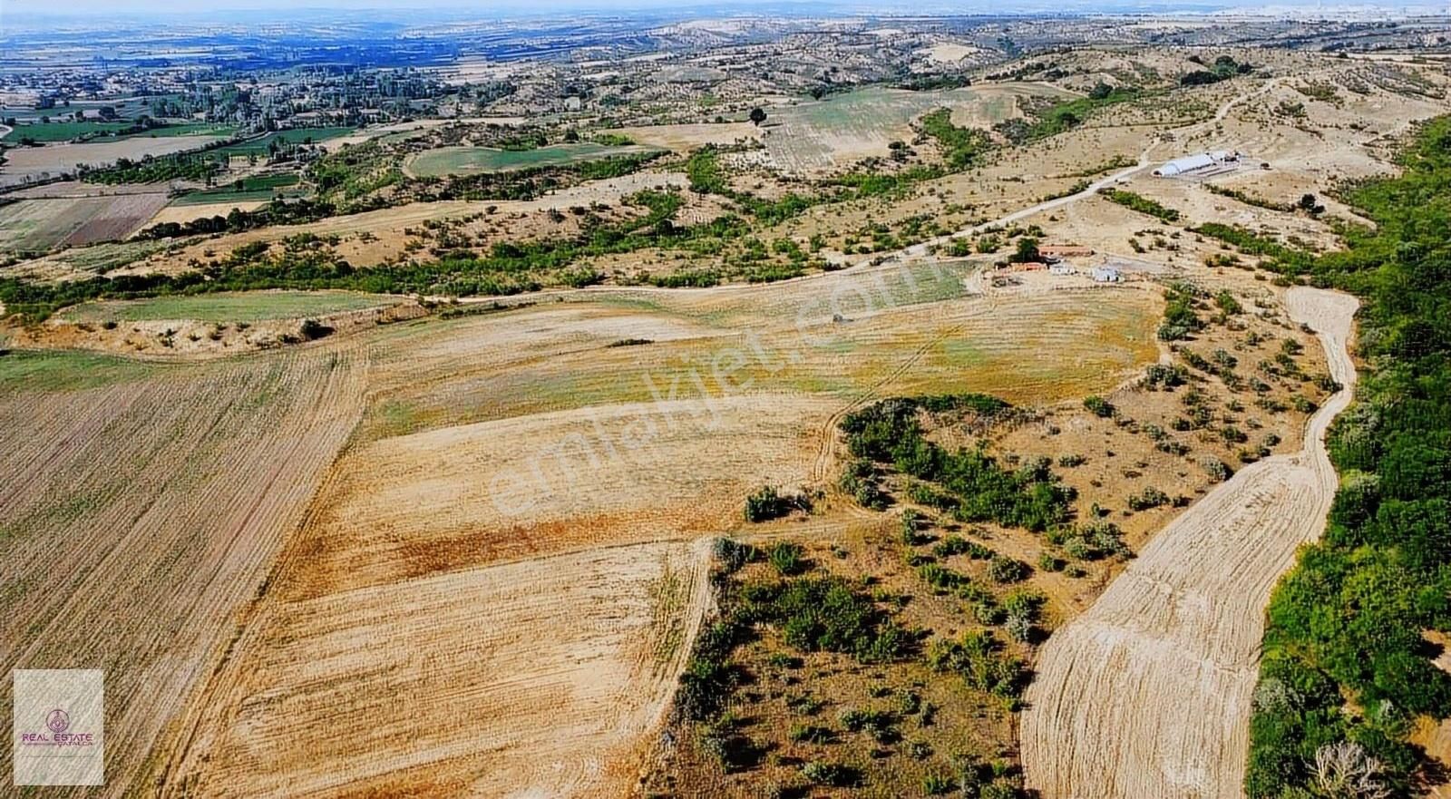 Real Estate Çatalca Dan Asılbeylide 14.298 M2 Satılık Tarla