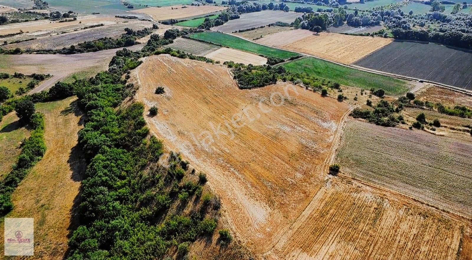 Real Estate Çatalcadan Asılbeylide 31.050 M2 Satılık Tarla