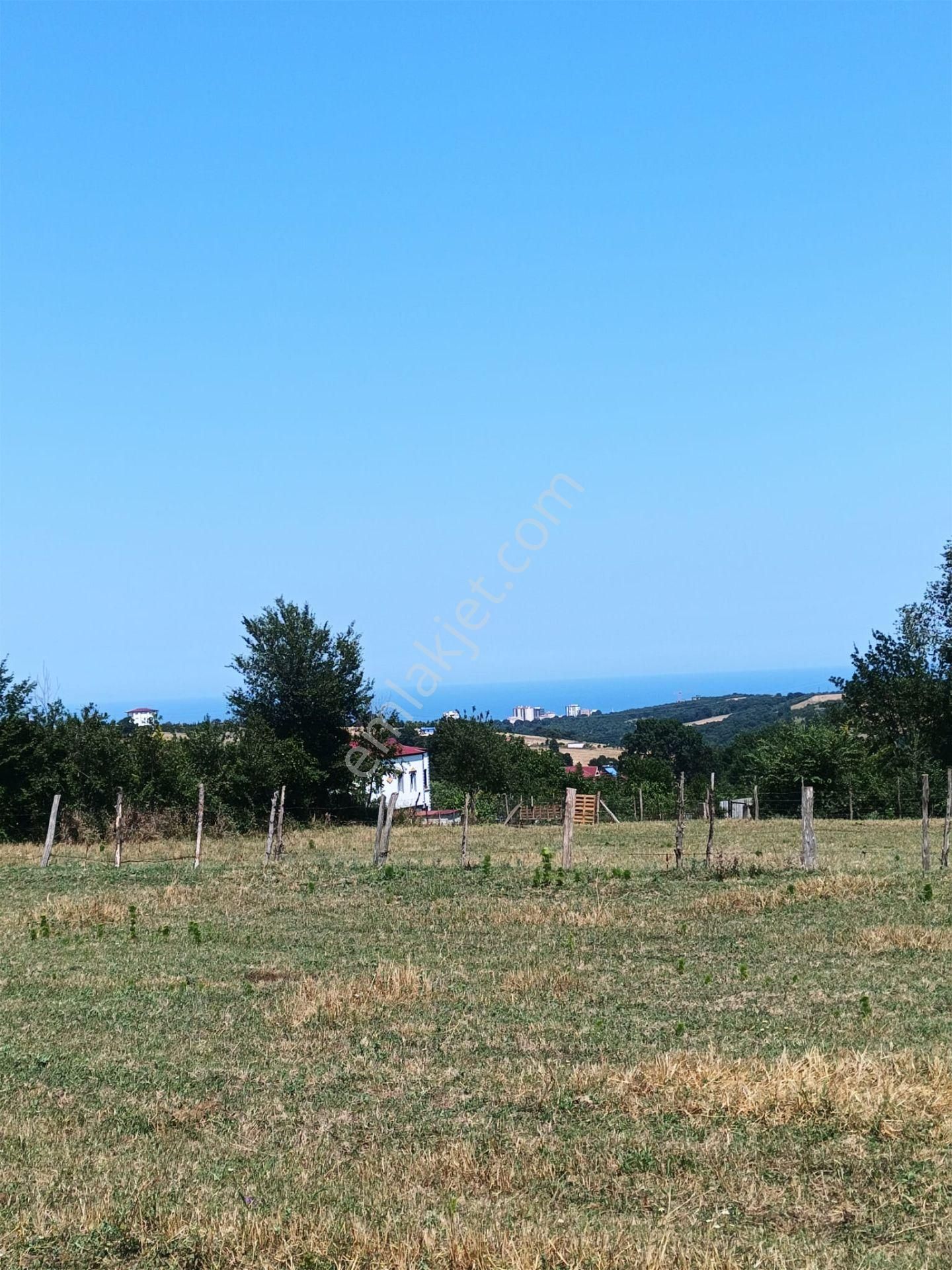 Atakum Karaoyumca Mah'de Deniz Manzaralı 4331 M Tek Tapulu Acil Satılık Tarla