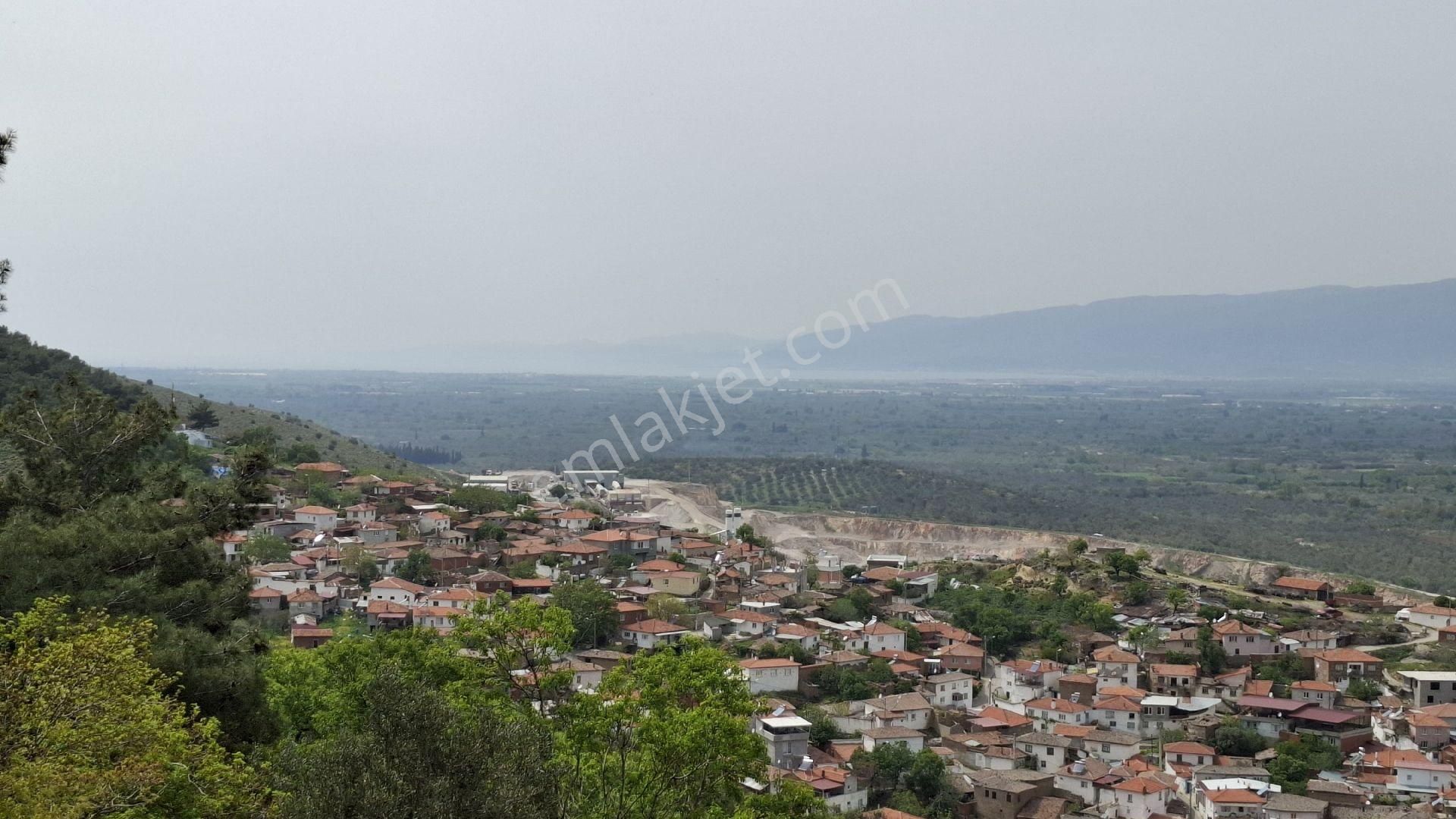 Havran Küçükdere Satılık Zeytinlik - Görsel 11