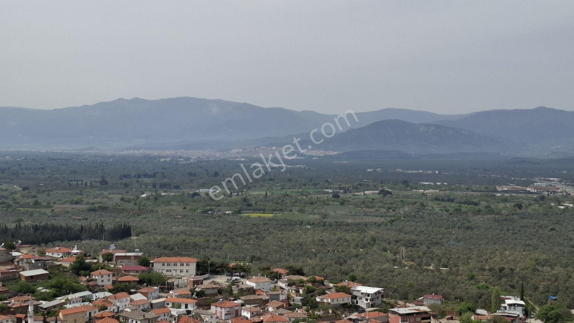 Havran Küçükdere Satılık Zeytinlik - Görsel 8
