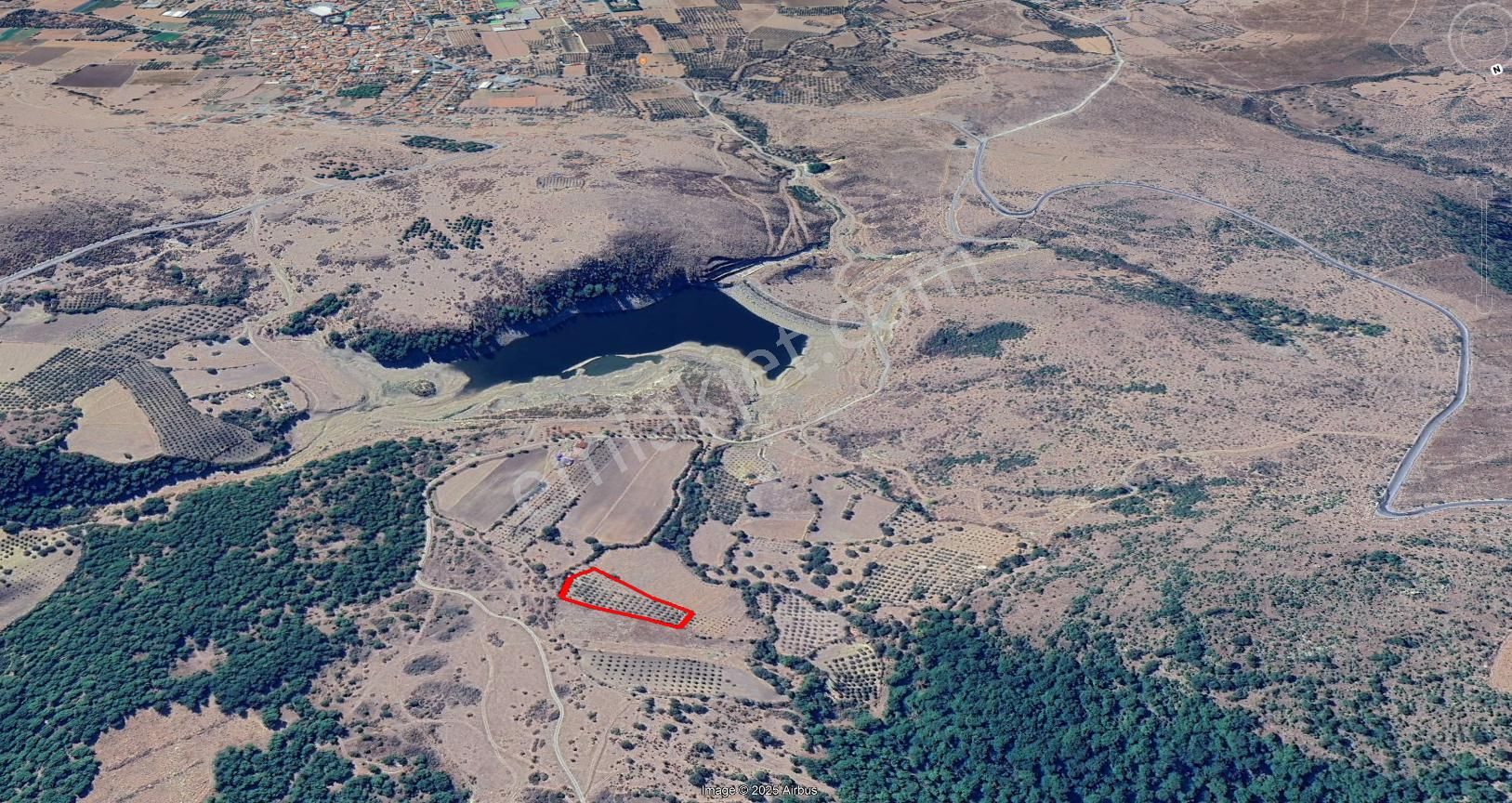 Baraj Manzaralı Zeytinlik