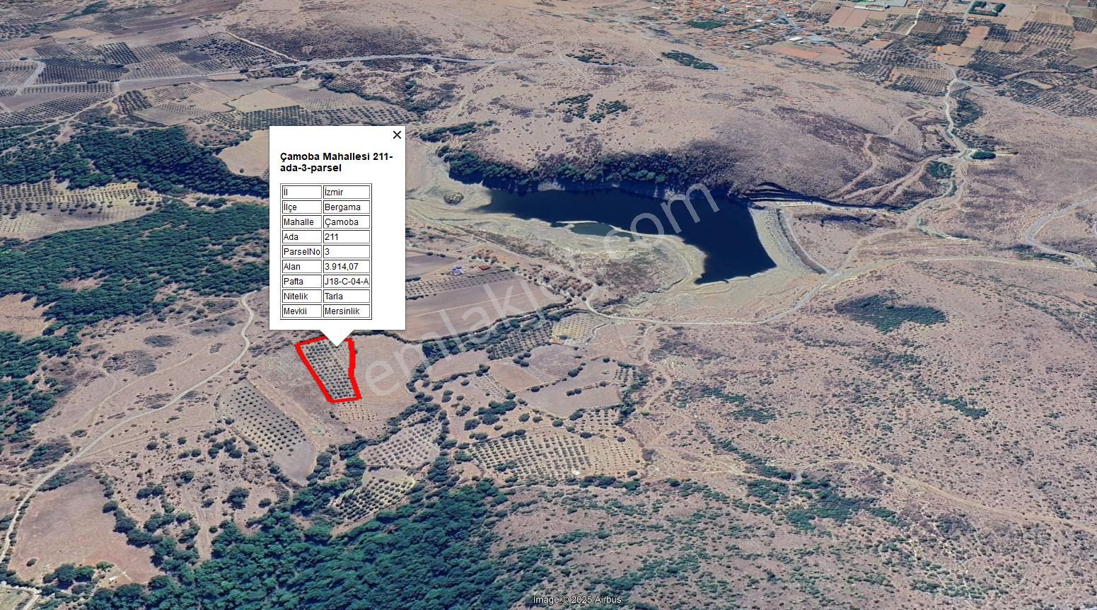 Baraj Manzaralı Zeytinlik - Görsel 2