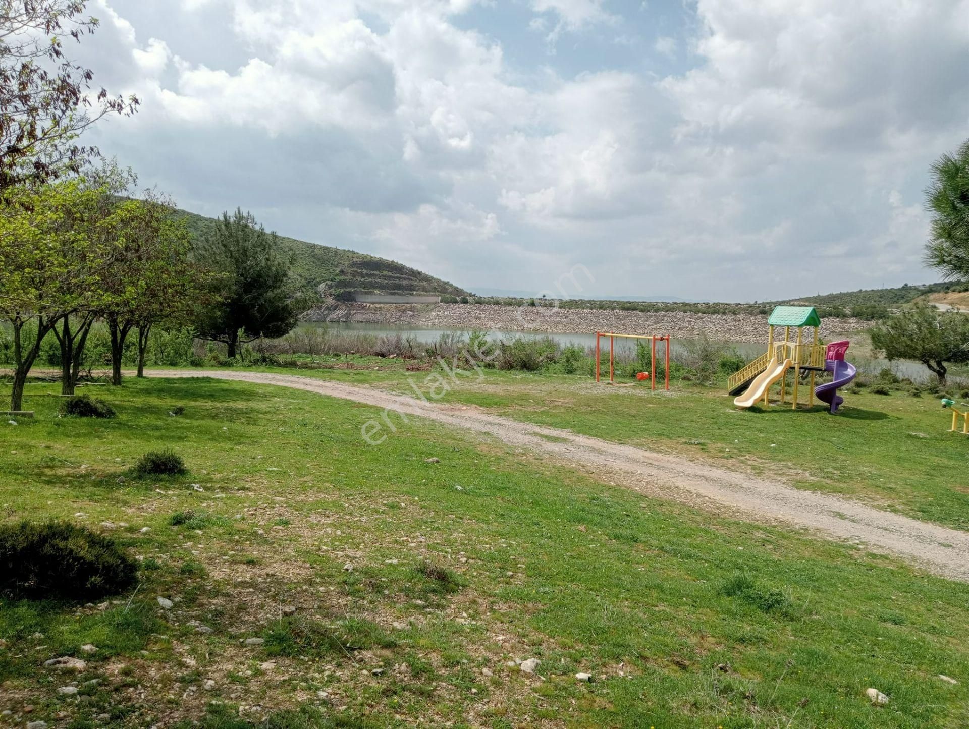 Baraj Manzaralı Zeytinlik - Görsel 15