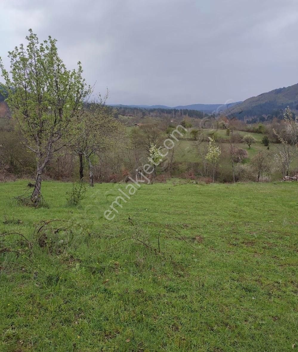 Osmangazi Küçükdeliler' De 4064 M2 Satılık Arazi - Görsel 2