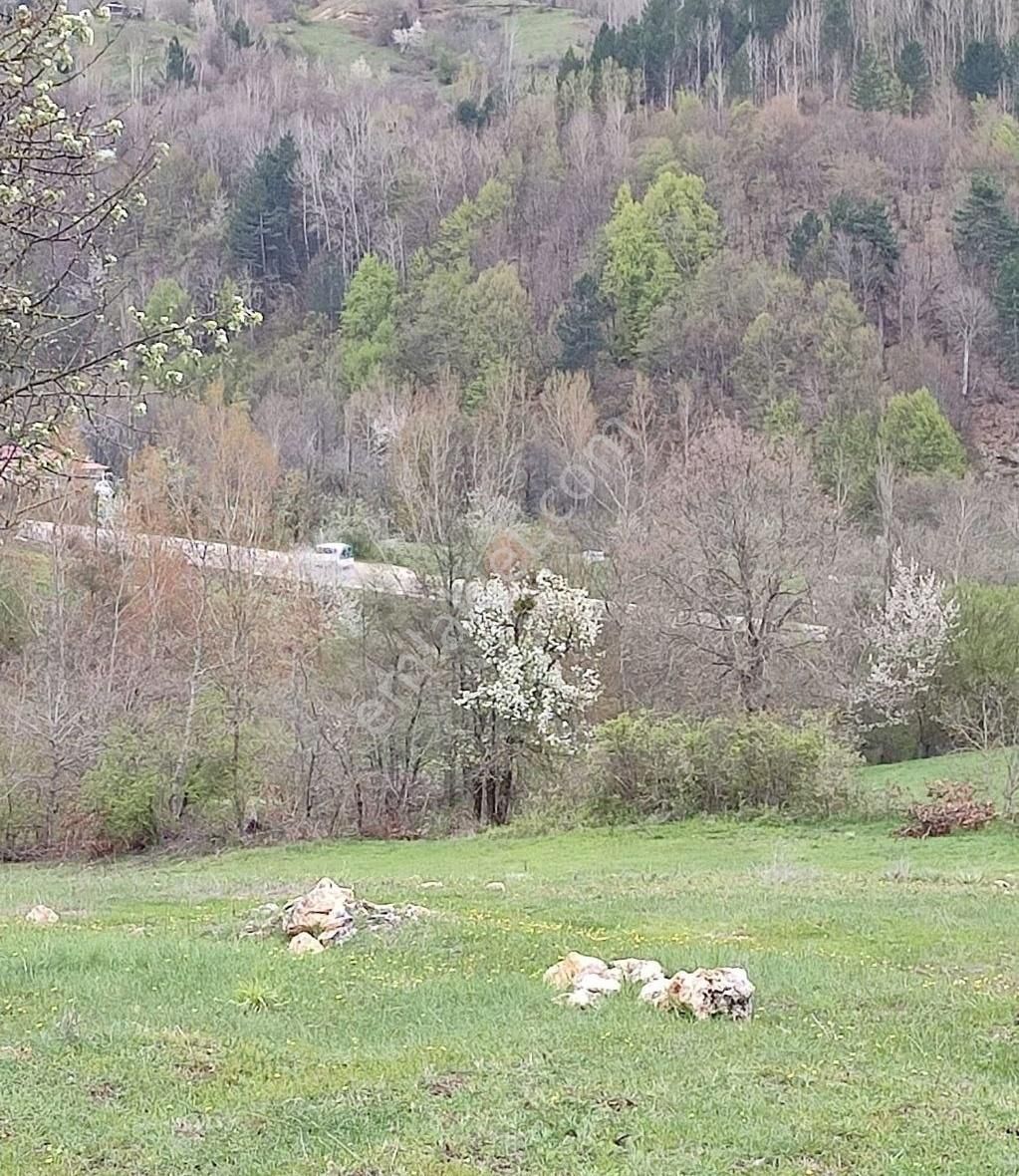 Osmangazi Küçükdeliler' De 4064 M2 Satılık Arazi - Görsel 3