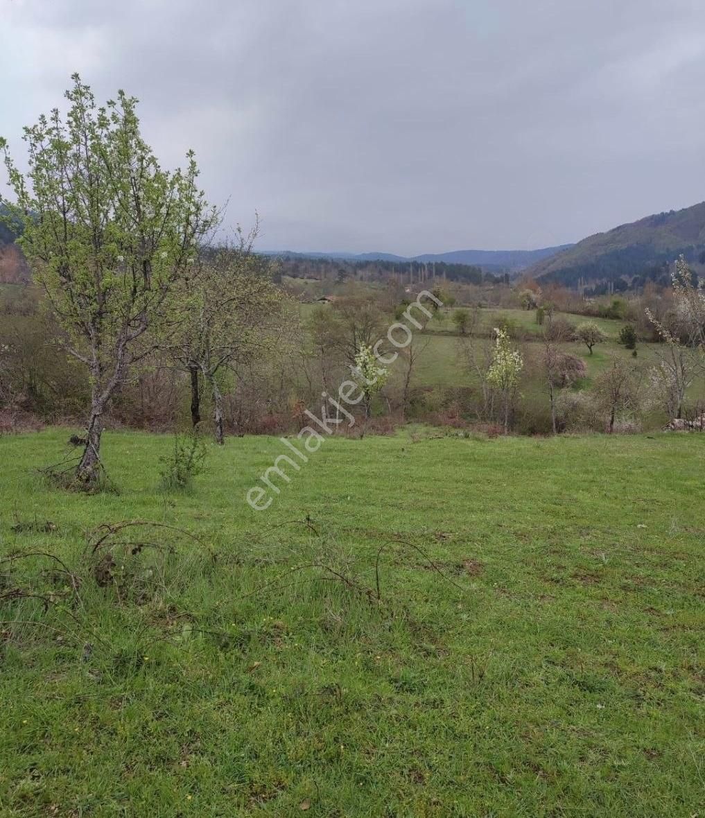 Osmangazi Küçükdeliler' De 4064 M2 Satılık Arazi - Görsel 4