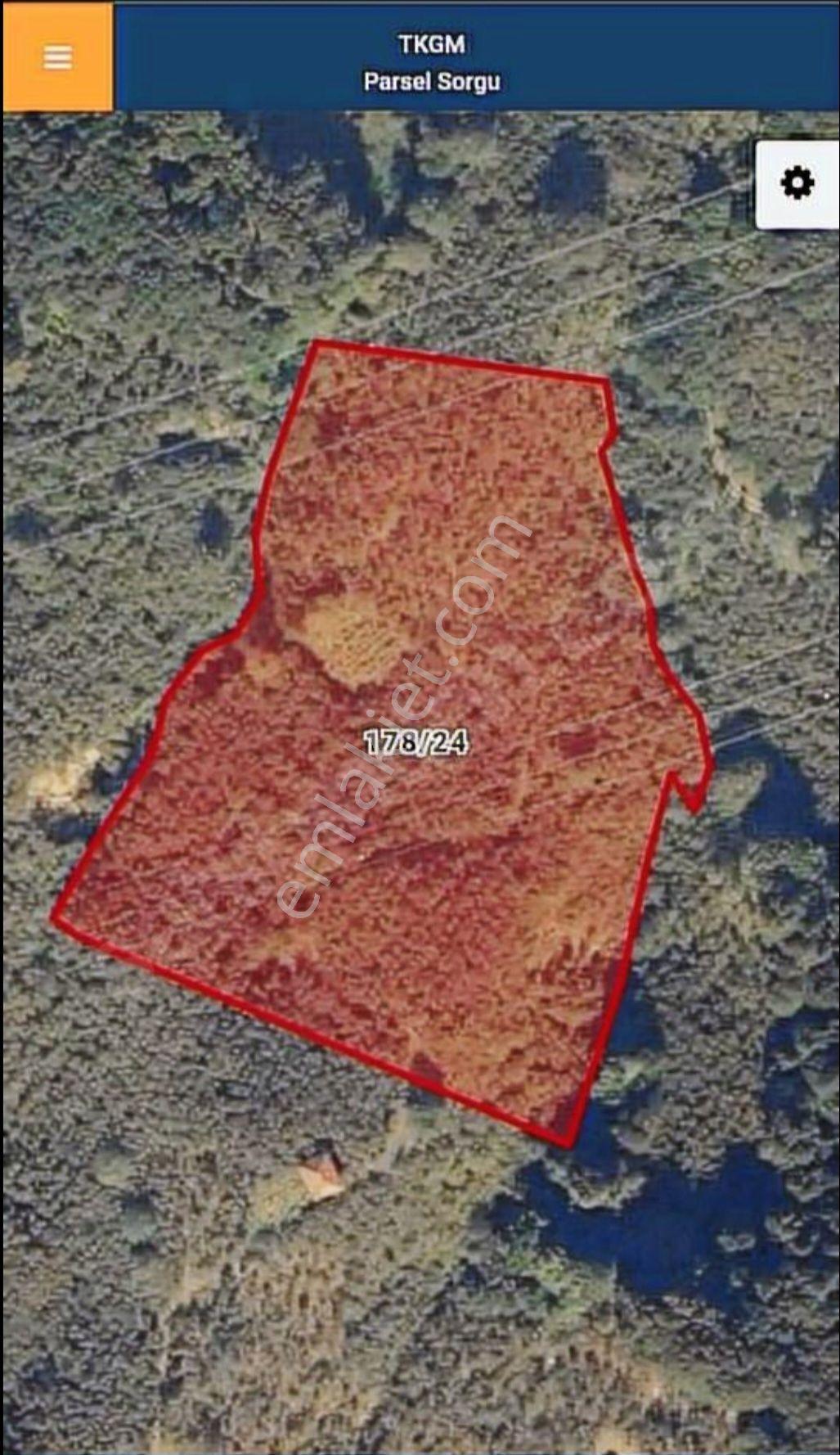 Duzce Merkez Güldere Köyünde Satılık 13,500 M2 Fındık Bahçesi - Görsel 2