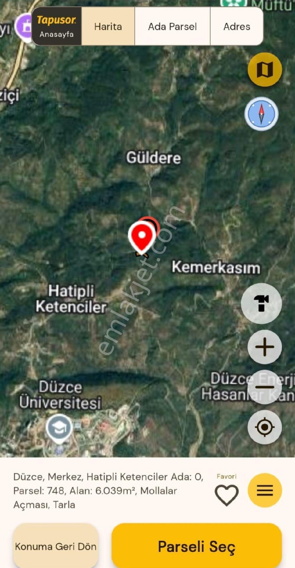 Duzce Merkez Güldere Köyünde Satılık 13,500 M2 Fındık Bahçesi - Görsel 4