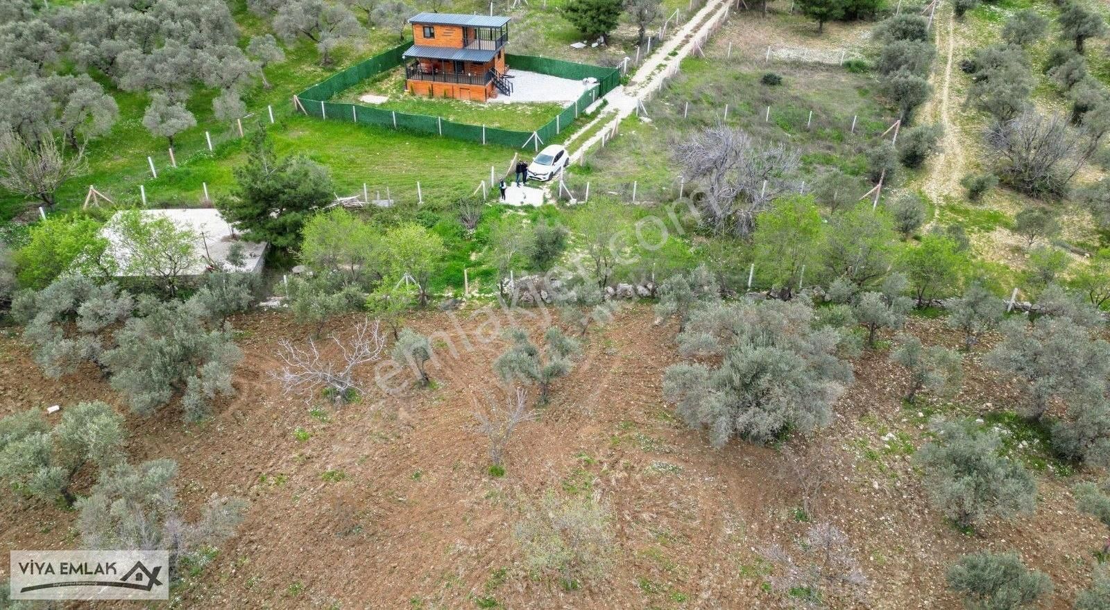 Viya Emlaktan Satılık Torbalı Çapakt Mirastan Bölme Kupon Tarsa