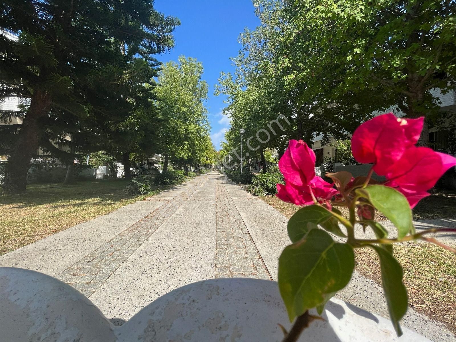 Datça Bıllurkent Sıtesın'de Satılık Devremülk Yasemın 6. Dönem - Görsel 14
