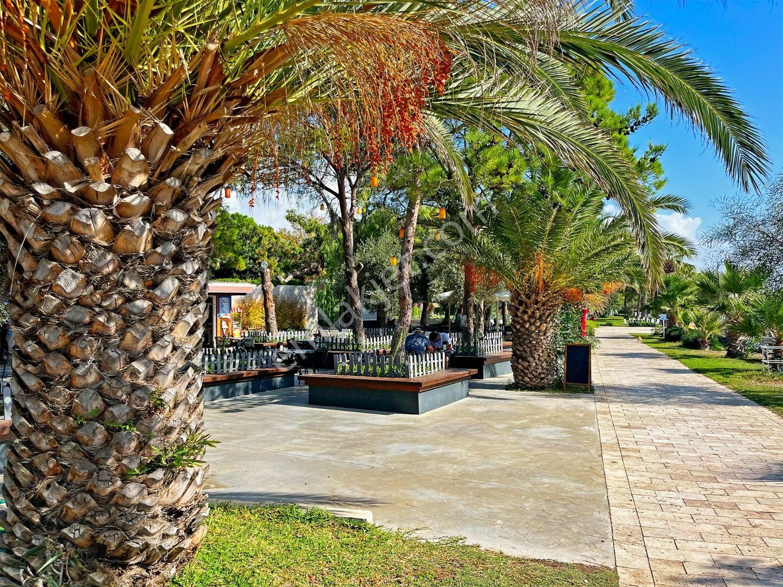 Datça Bıllurkent Sıtesın'de Satılık Devremülk Yasemın 6. Dönem - Görsel 20