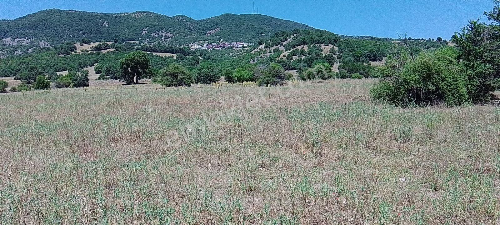 Almus Çilehane'de Çat Köyü Altında Satılık 2,5 Dönüm Tarla - Görsel 3