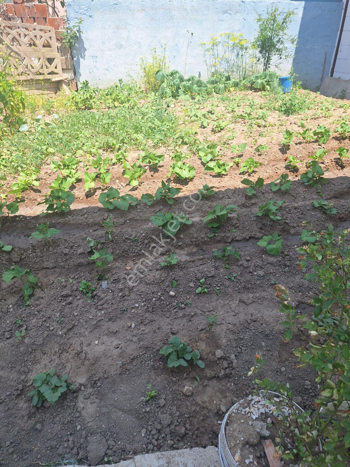 Kırklareli Merkez Bademlik Mahallesi 120 M2 Kiralık Daire - Görsel 10