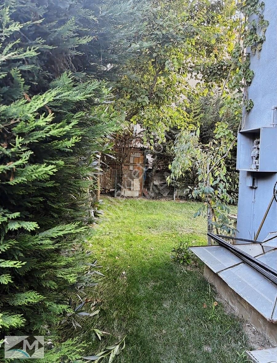 Kiralık Villa