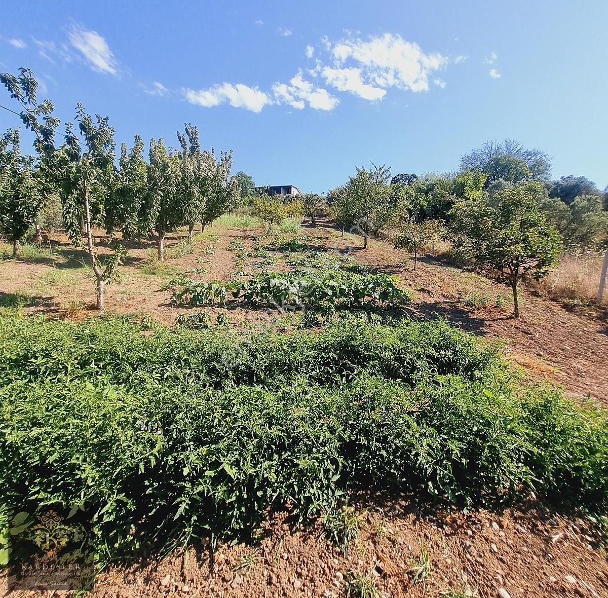 Mudanya Yalıçiftlikte Deniz Ve Doğa Manzaralı Satılık Bağ Evi - Görsel 3