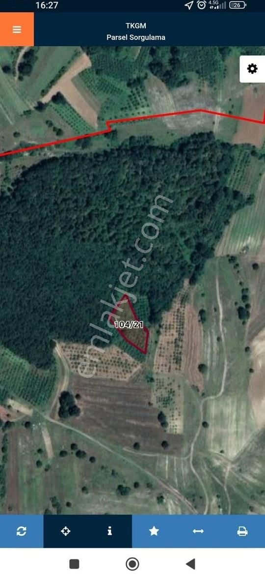 Kandıra Fındık Bahçesi Şile Ağva Yoluna Ve Sanayiye Yakın Fırsat - Görsel 3