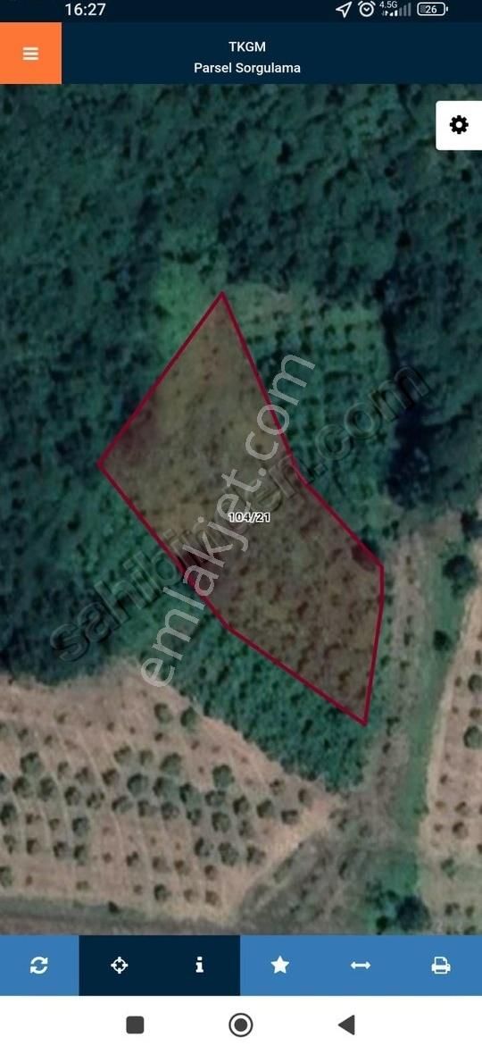 Kandıra Fındık Bahçesi Şile Ağva Yoluna Ve Sanayiye Yakın Fırsat - Görsel 5