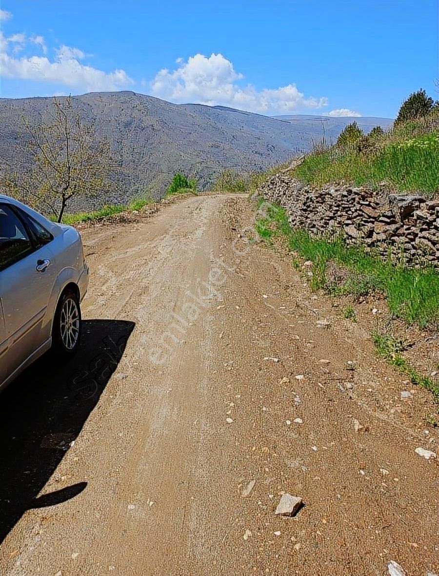 Delice Cinsi Kestanelik Yatırımlık Arazi Satılık. İnoa Gym.den