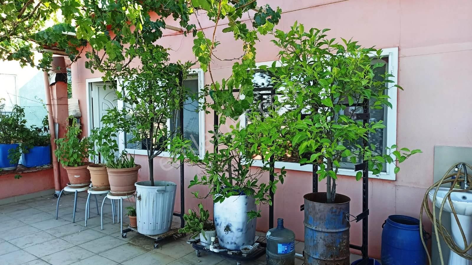 Fiyatı Düştü Sahibinden Satılık 2 Katlı+ Çatı Katı Bursa Manzaralı - Görsel 26