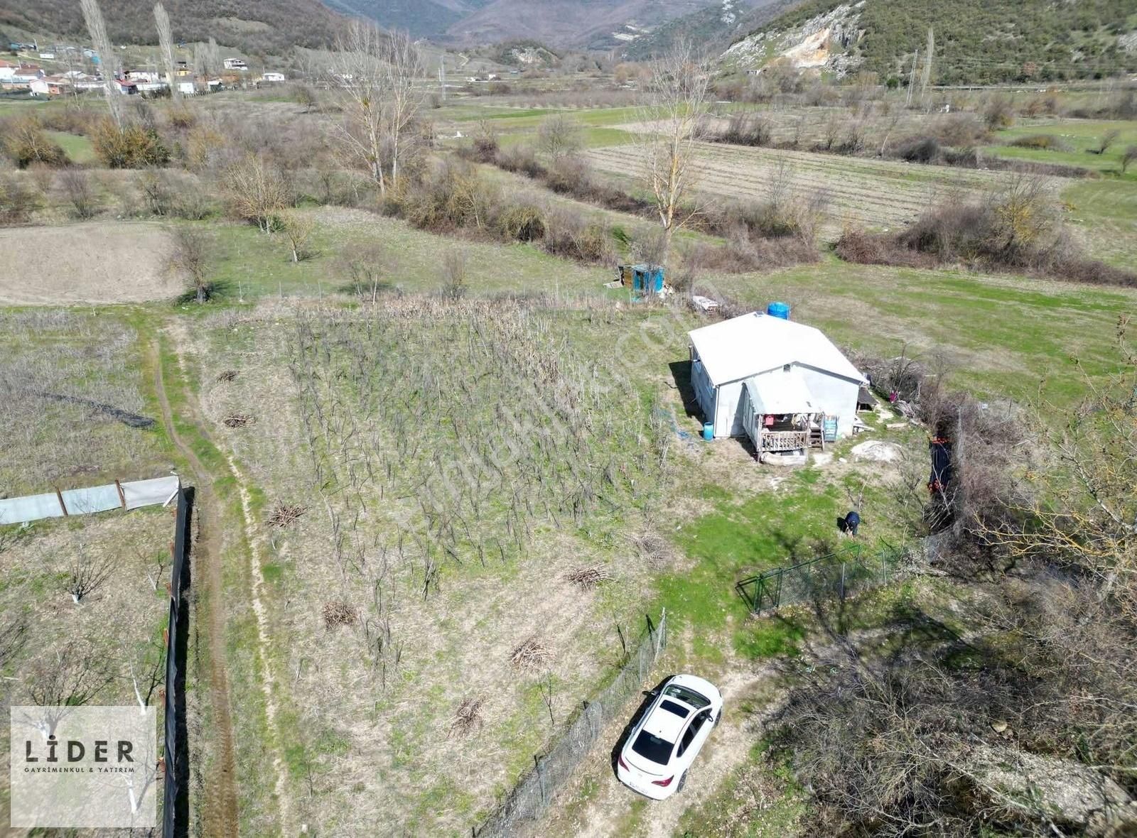 Yenişehir Burcun Köyünde Tek Tapu Yatırımlık Tarla Ve Ev