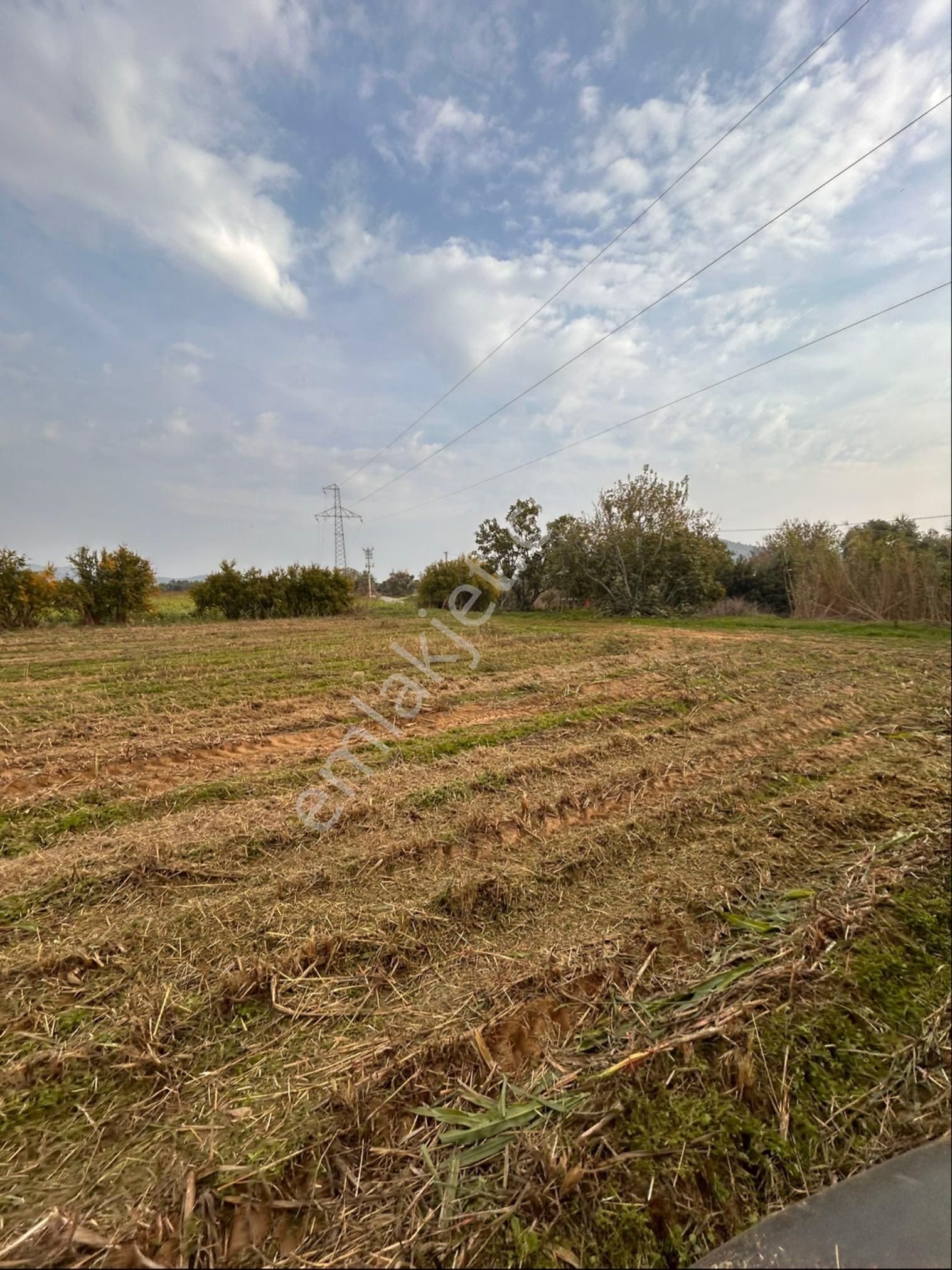 Acil Satılıksahibinden Verimli Köye Yakın Tarla - Görsel 4