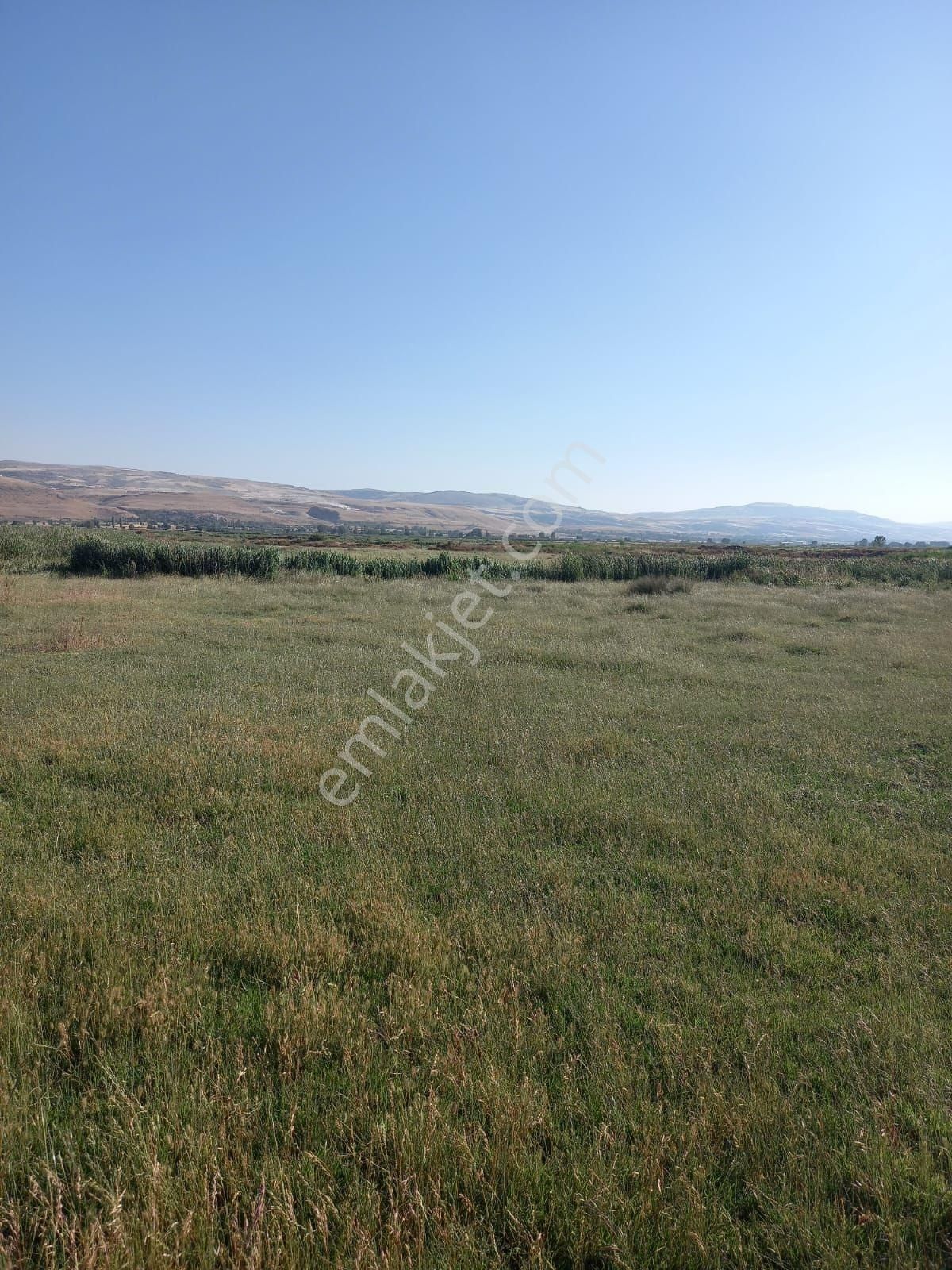 Amasya Suluova Uzunoba Köyü 1850 M2 Satılık Müstakil Tapulu Arazi - Görsel 6