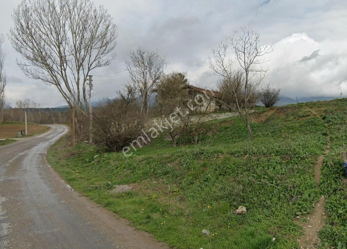 Mudurnu Kaygana Mah. Çavuşlar Çiftliği Mevkii Satılık Ev Ve Arsası - Görsel 6