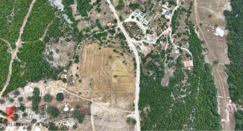 Kaş Ahatlı'da Yola Cephe 19.874 M2 Yatırımlık Fırsat Tarla - Görsel 5