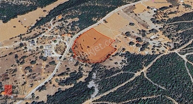 Kaş Ahatlı'da Yola Cephe 19.874 M2 Yatırımlık Fırsat Tarla