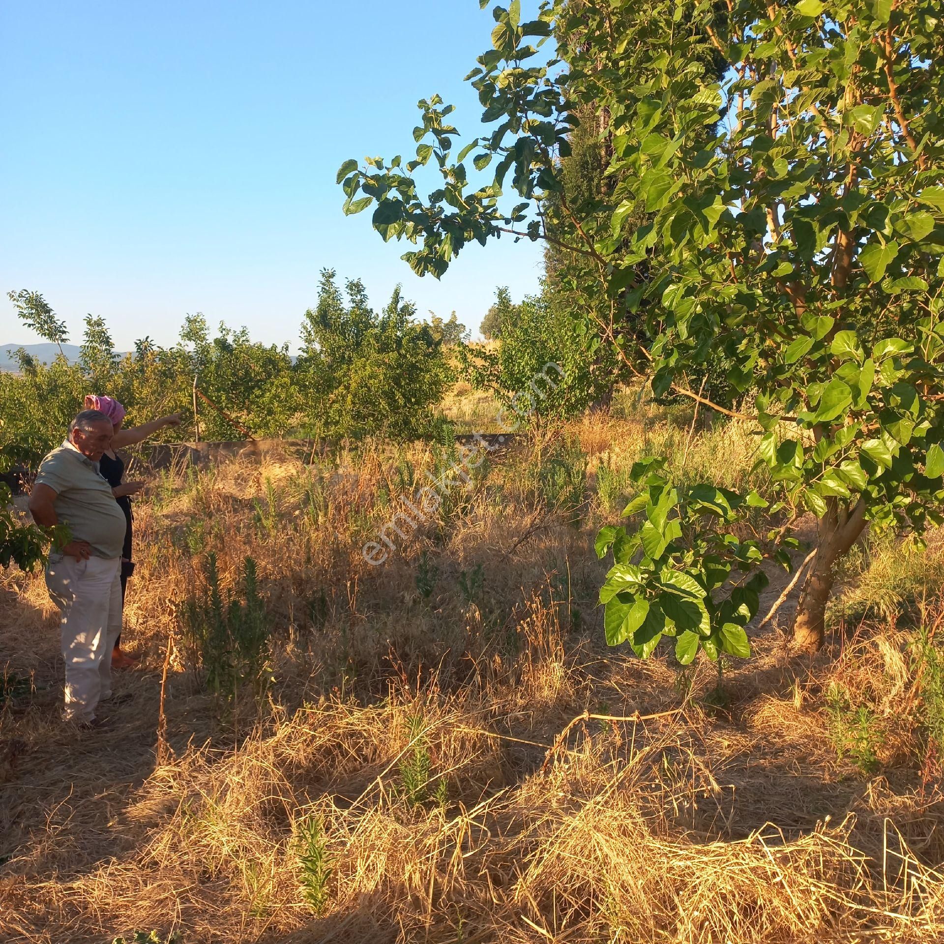 Bursa Karacabey Tophisar Köyünde 850o M2 Tarla Satılıktır. - Görsel 3