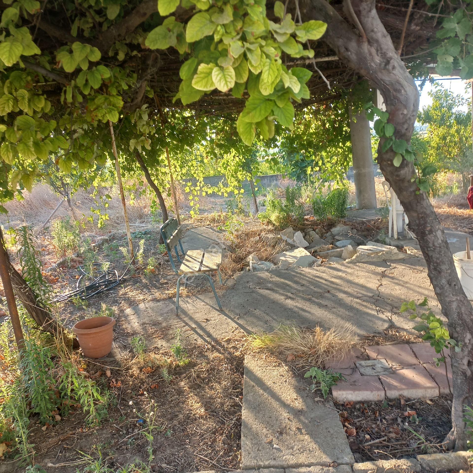 Bursa Karacabey Tophisar Köyünde 850o M2 Tarla Satılıktır. - Görsel 7