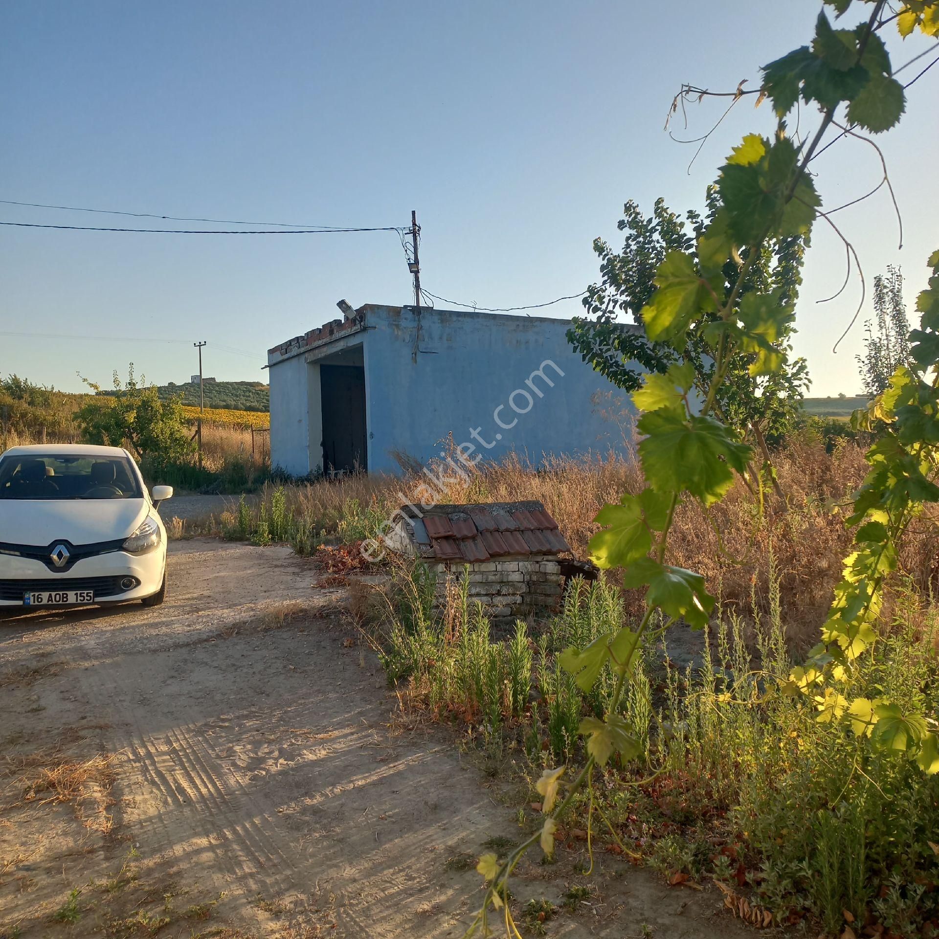 Bursa Karacabey Tophisar Köyünde 850o M2 Tarla Satılıktır. - Görsel 6