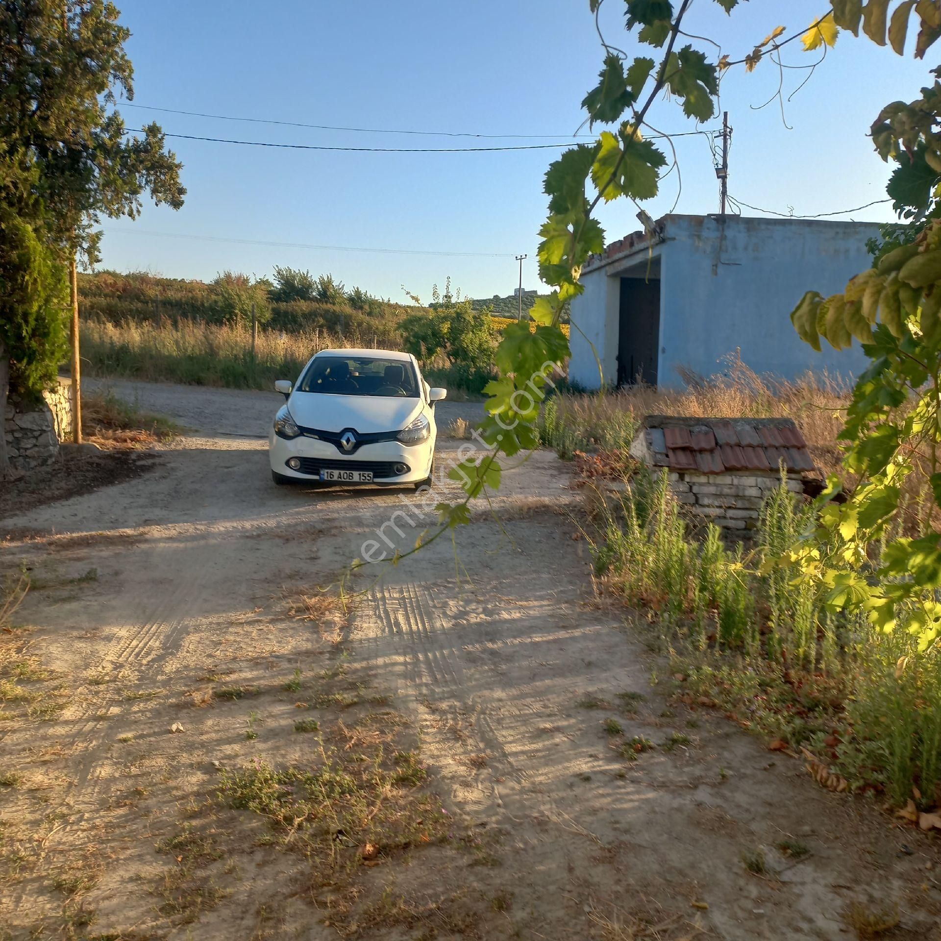 Bursa Karacabey Tophisar Köyünde 850o M2 Tarla Satılıktır. - Görsel 5