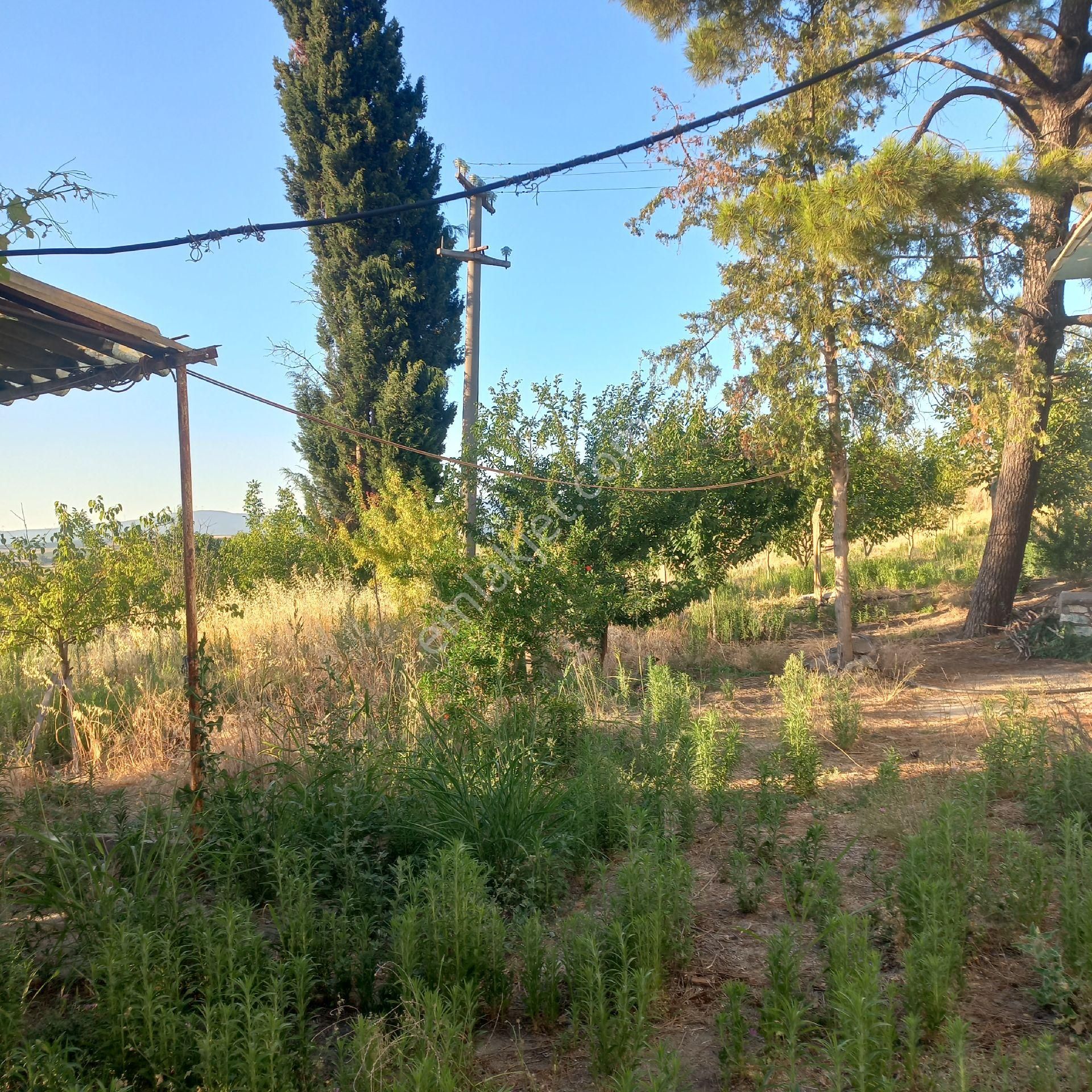 Bursa Karacabey Tophisar Köyünde 850o M2 Tarla Satılıktır. - Görsel 4