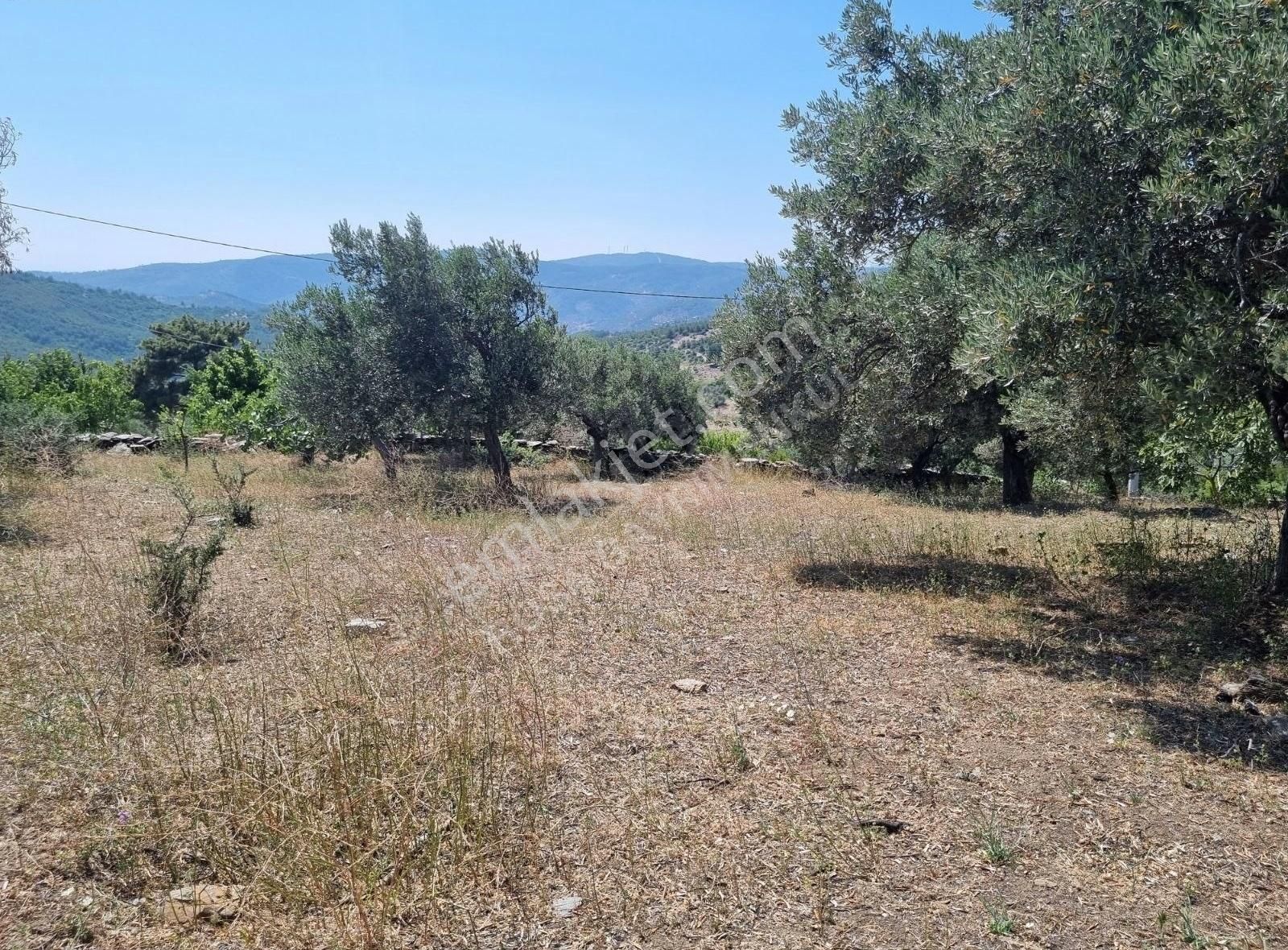 Bayındır Kızılcaağaç Ahmetler'de Köyiçi 506 M² İmarlı Arsa