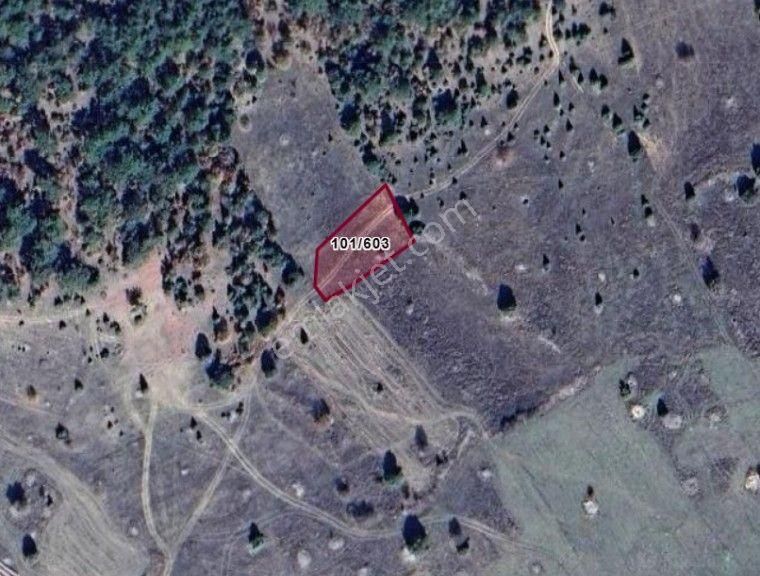 Kütahya Altıntaş Oysu Köyü’nde 889 M² Tarlamız Satılıktır.