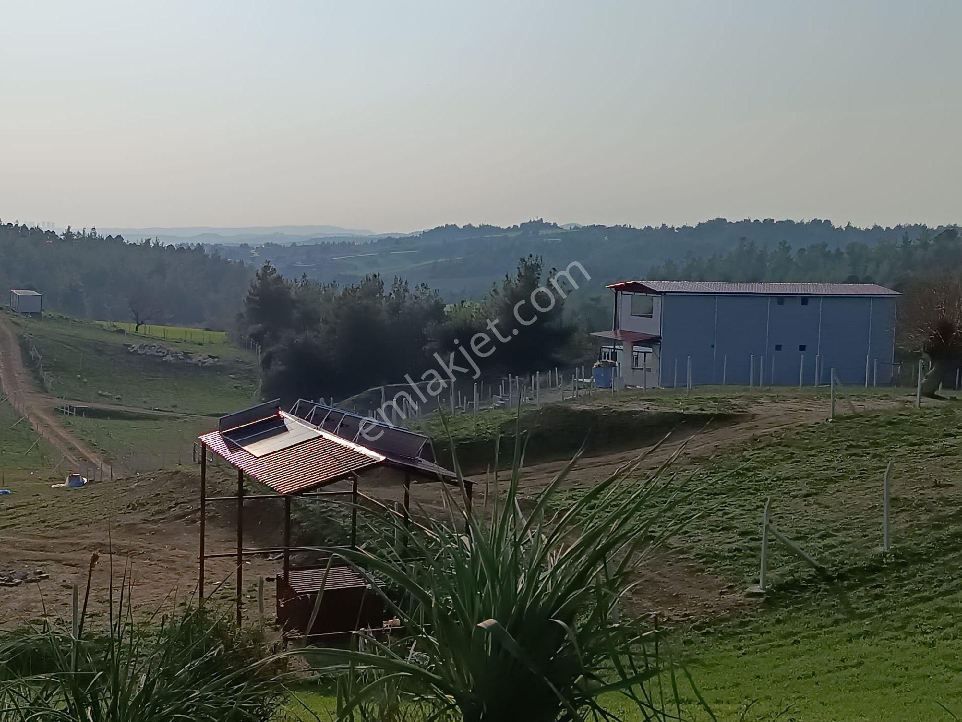 Lotus Dan Karaömerli’de 500 M² Hobi Bahçesi – Telle Çevrili & Su Sorunu Yok! - Görsel 5