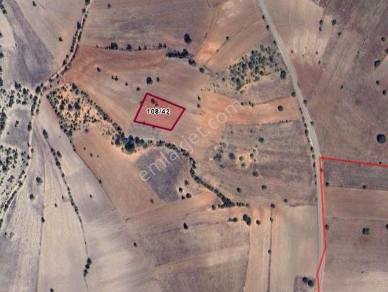 Kütahya Emet Aydıncık/meydan Köyü’nde 2.610 M² Tarlamız Satılıktır.