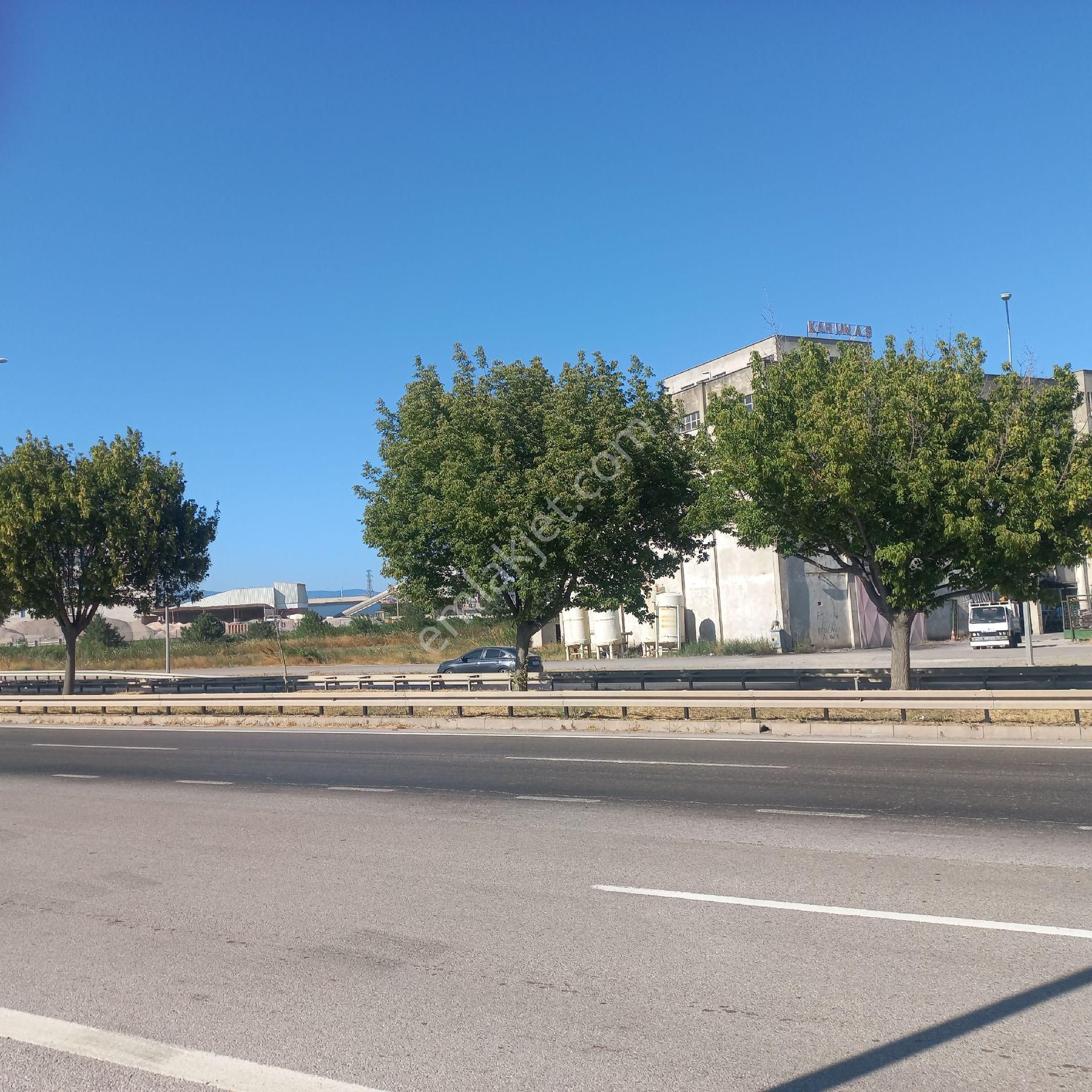Bursa Karacabey Sanayııda 29 Dönüm Tarla Satılıktır - Görsel 3