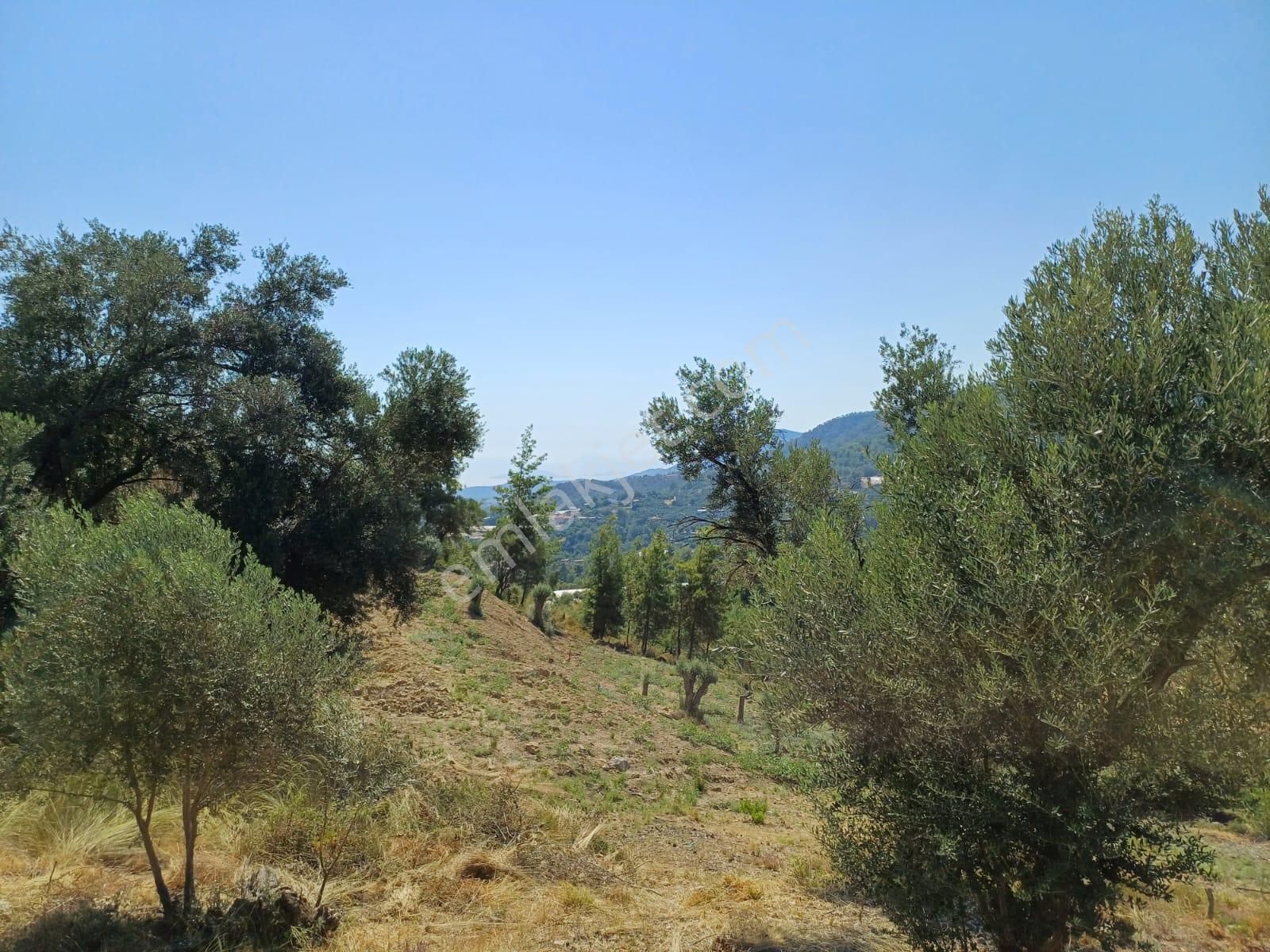Stop’tan Eldirek’te 1082 M² Deniz Manzaralı Arazi - Görsel 4