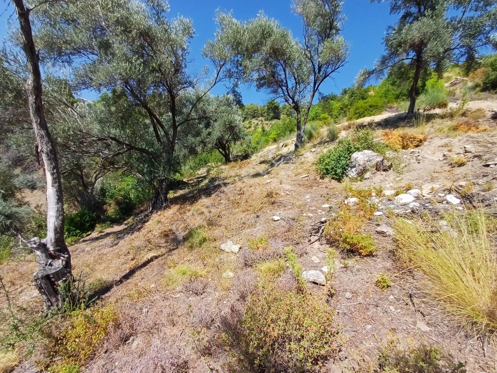 Stop’tan Eldirek’te 1082 M² Deniz Manzaralı Arazi - Görsel 9