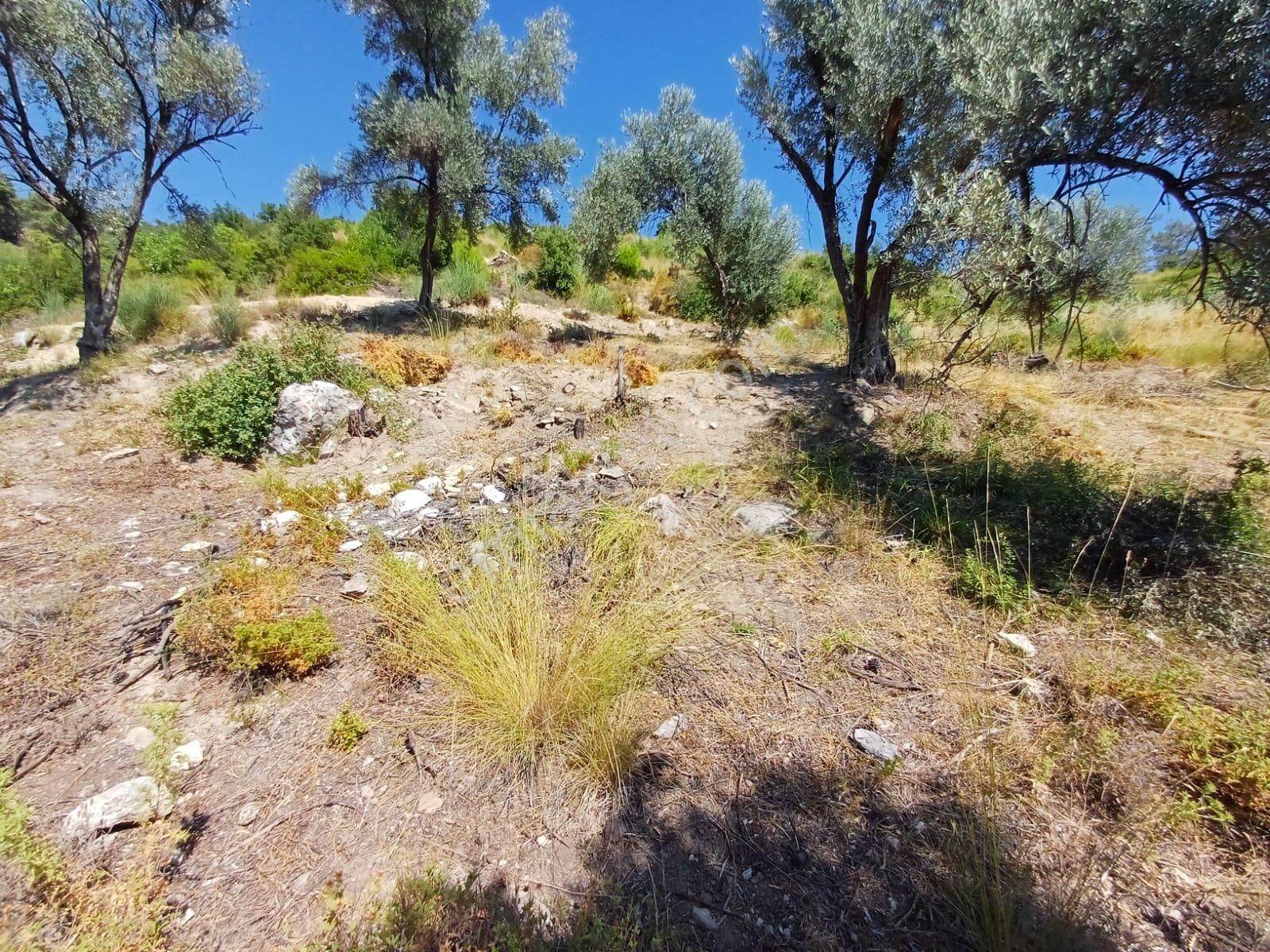 Stop’tan Eldirek’te 1082 M² Deniz Manzaralı Arazi - Görsel 3
